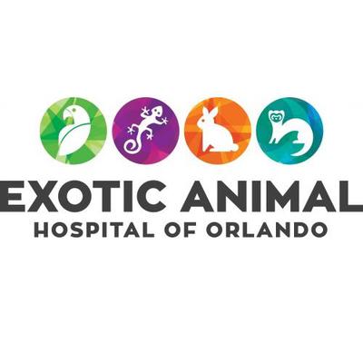 Veterinarians & animal hospitals in Meadow Woods, Florida