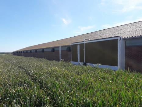 Photos: Komptech Sambeek BV