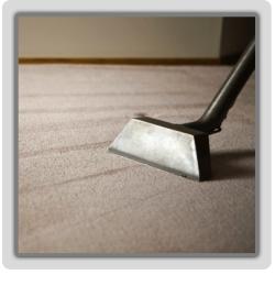 Photos: Rug Shine Rug & Carpet Cleaning
